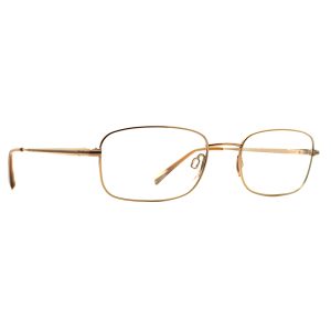 عینک طبی مردانه CHARMANT CH8183