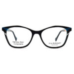عینک طبی زنانه Ana Hickmann AH6451