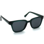 عینک آفتابی مردانه GIA GOLD S346