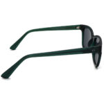 عینک آفتابی مردانه GIA GOLD S346