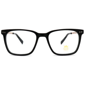 عینک طبی مردانه GIA DC8052