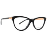 عینک طبی زنانه Ana Hickmann AH6293