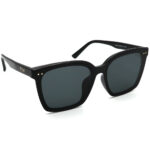 عینک آفتابی برند PRSR مدل PS1041