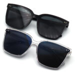 عینک آفتابی برند PRSR مدل PS1041