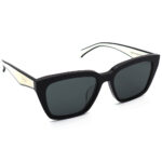 عینک آفتابی برند PRSR مدل PS3019