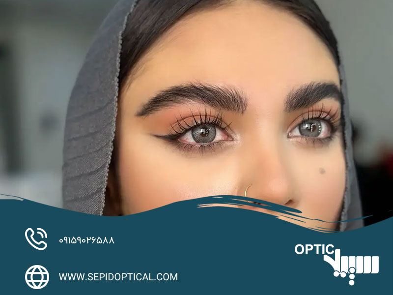 چه کسانی بهتر است لنز سالانه تهیه کنند؟