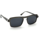 عینک آفتابی مردانه Eddi 1859