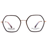 عینک طبی زنانه آنا هیکمن ایتالیا Ana Hickmann AH1490