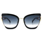 عینک آفتابی زنانه آنا هیکمن Ana Hickmann AH3282