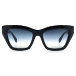 عینک آفتابی زنانه Ana Hickmann AH9399