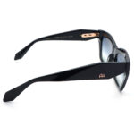 عینک آفتابی زنانه Ana Hickmann AH9399