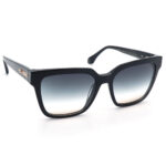 عینک آفتابی زنانه آنا هیکمن Ana Hickmann AH9378