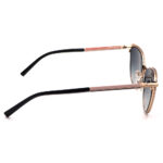 عینک آفتابی زنانه کلاسیک Ana Hickmann AH3217