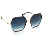 عینک آفتابی زنانه آها هیکمن Ana Hickmann AH3249