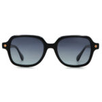 عینک آفتابی CHIC 1716