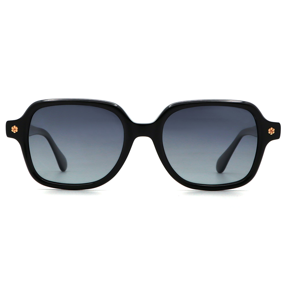 عینک آفتابی CHIC 1716