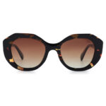 عینک آفتابی زنانه جدید CHIC TY9007A