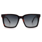 عینک آفتابی مردانه Sergio Martini SA-2159