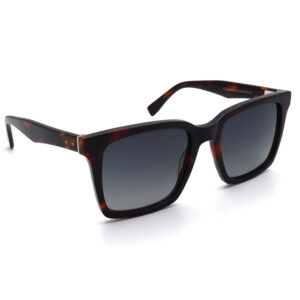 عینک آفتابی مردانه Sergio Martini SA-2159