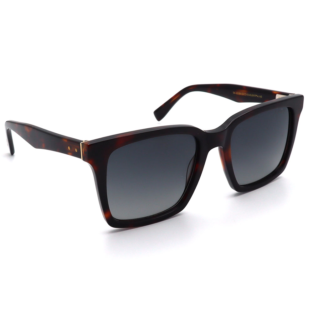 عینک آفتابی مردانه Sergio Martini SA-2159