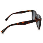 عینک آفتابی مردانه Sergio Martini SA-2159